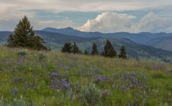 3 Tract, Bull Elk, Drummond MT 59832