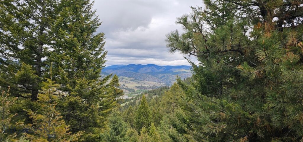 3 Tract, Bull Elk, Drummond MT 59832