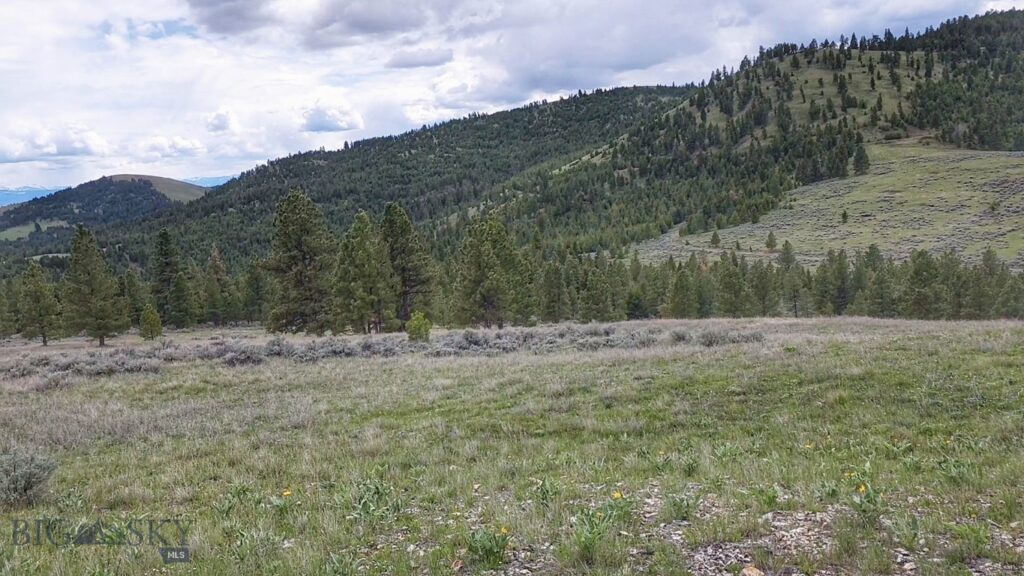 3 Tract, Bull Elk, Drummond MT 59832