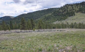 3 Tract, Bull Elk, Drummond MT 59832