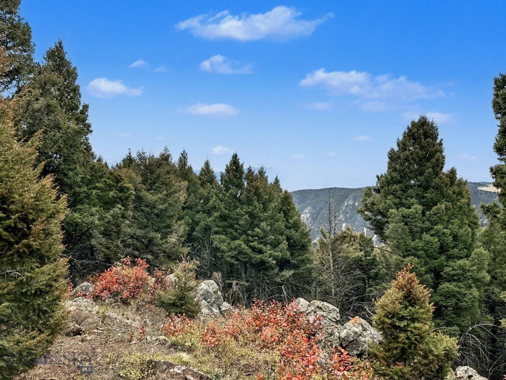 30 Bunks Trail, Ennis MT 59729