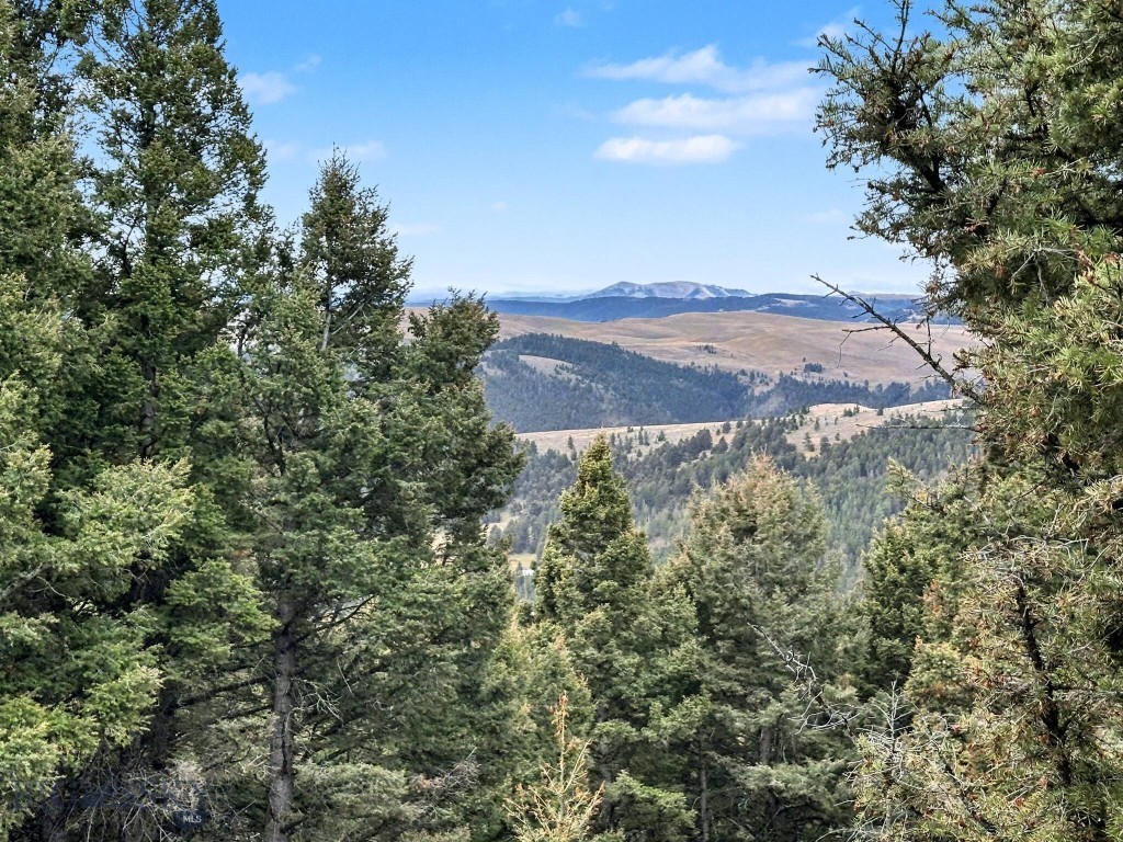 30 Bunks Trail, Ennis MT 59729