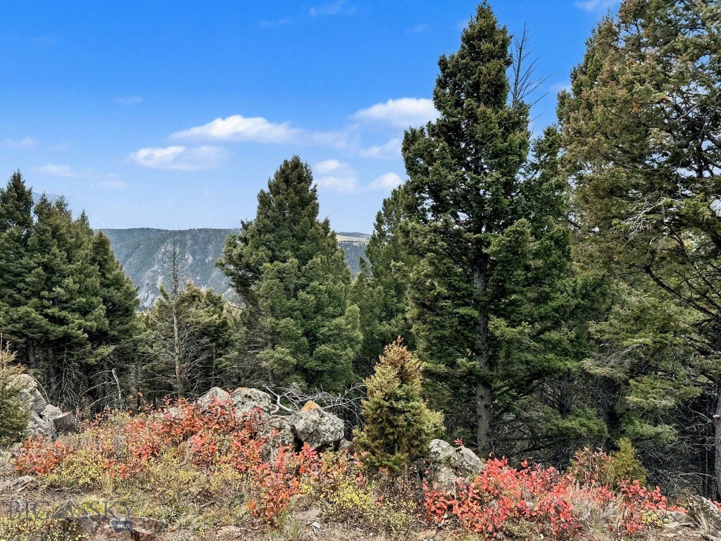 30 Bunks Trail, Ennis MT 59729