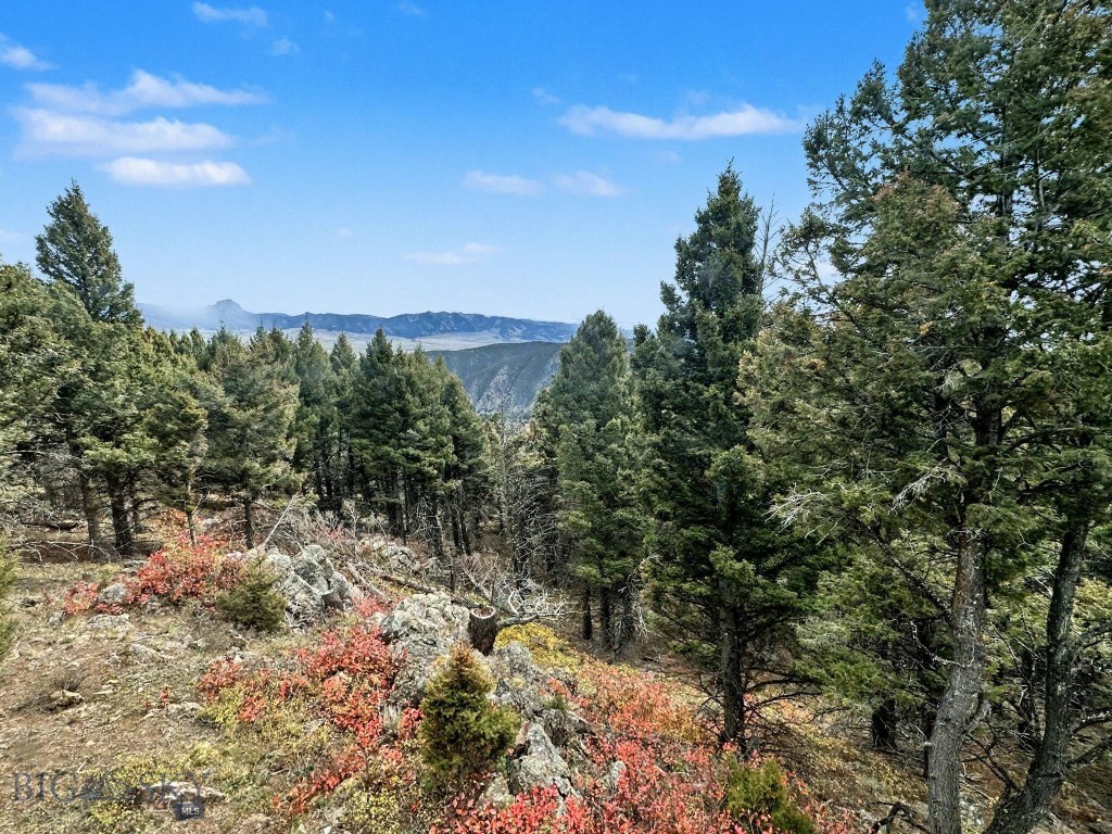30 Bunks Trail plus additional adjoining lot, Ennis MT 59729