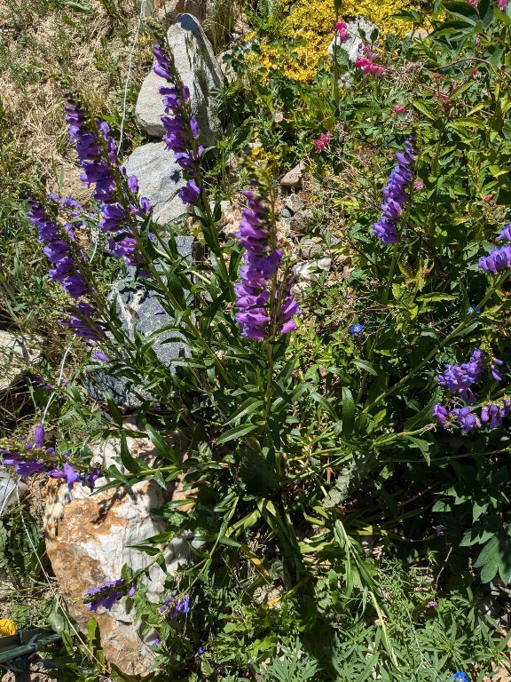 30 Mountain View Road, Sheridan MT 59749