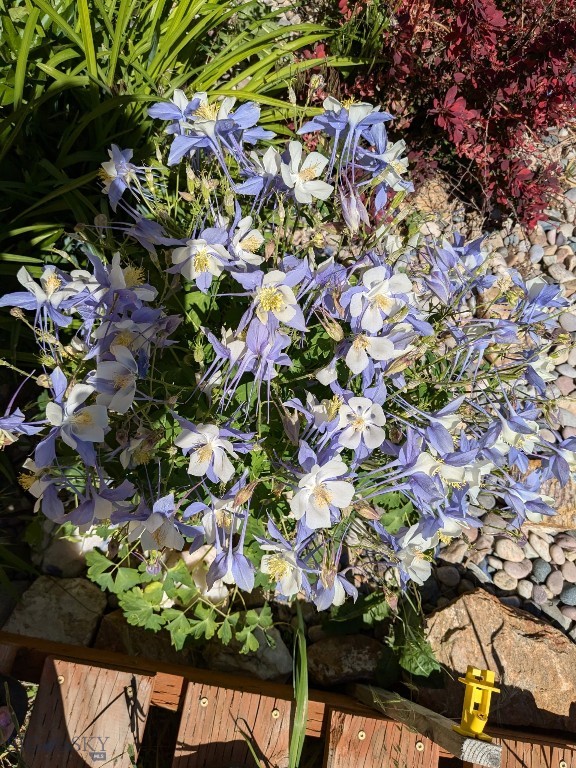 30 Mountain View Road, Sheridan MT 59749