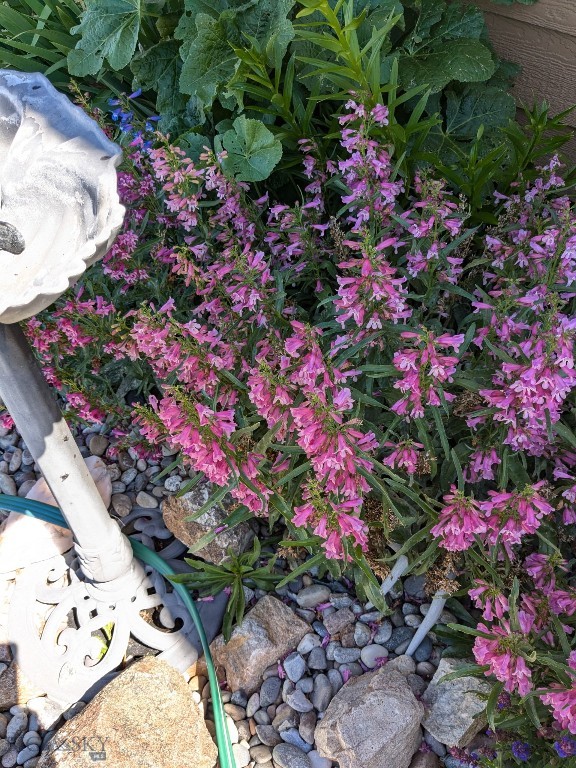 30 Mountain View Road, Sheridan MT 59749