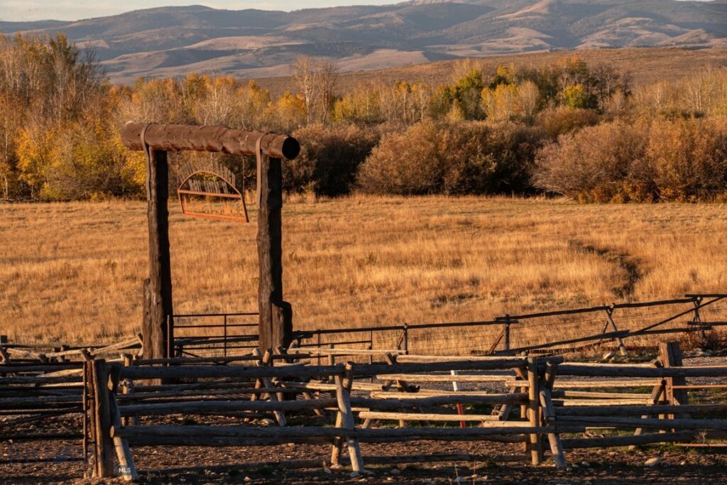 3007 Coyote Creek, Dillon MT 59725