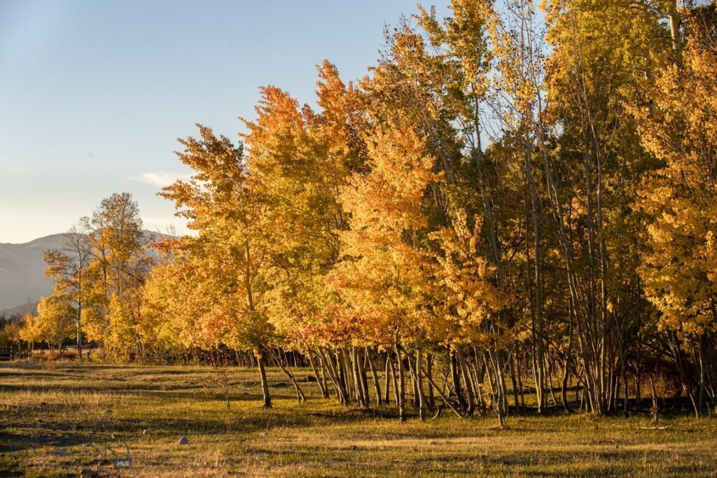 3007 Coyote Creek, Dillon MT 59725