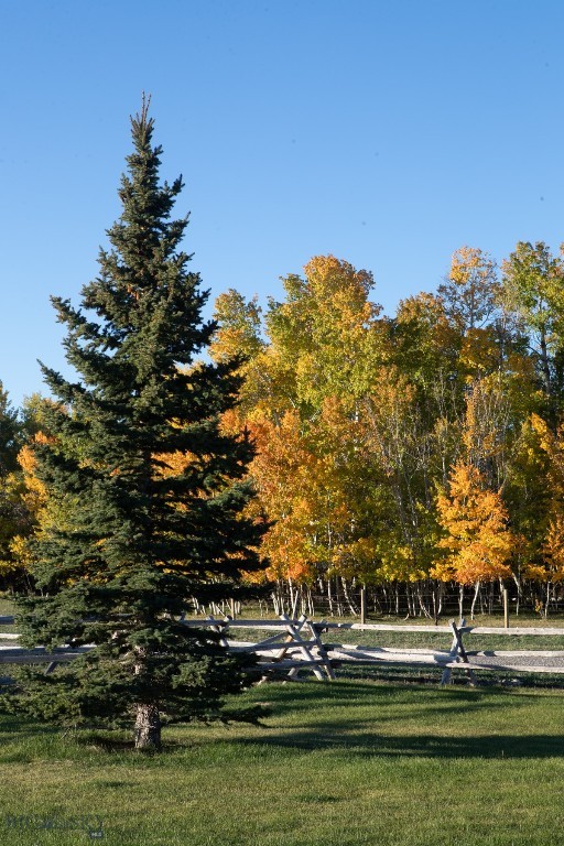 3007 Coyote Creek, Dillon MT 59725