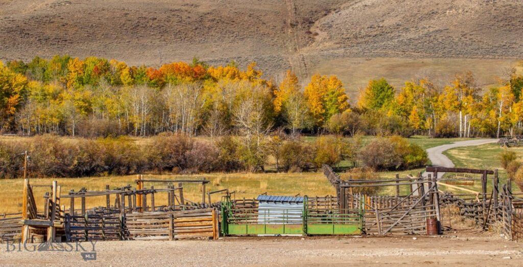 3007 Coyote Creek, Dillon MT 59725