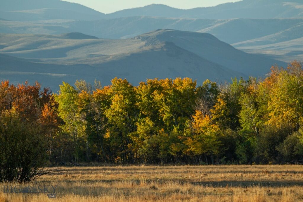 3007 Coyote Creek, Dillon MT 59725