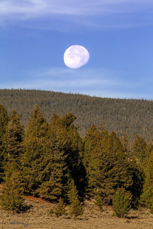 3007 Coyote Creek, Dillon MT 59725