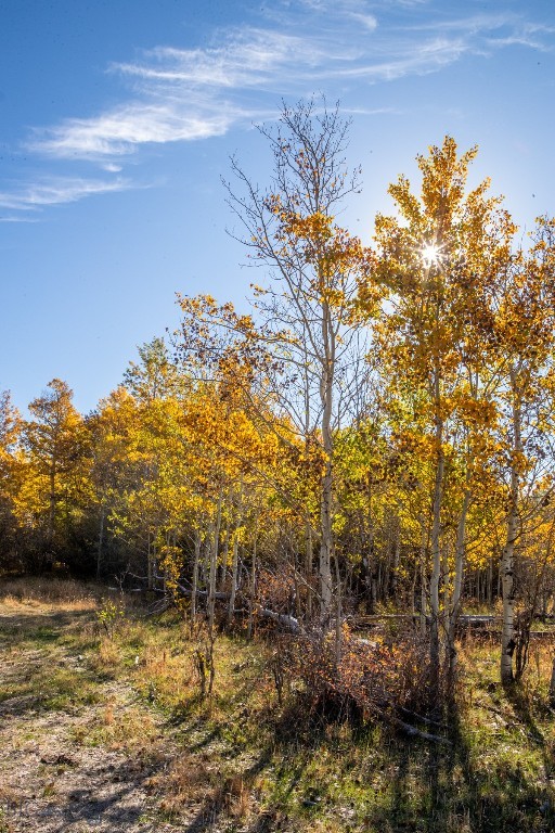 3007 Coyote Creek, Dillon MT 59725