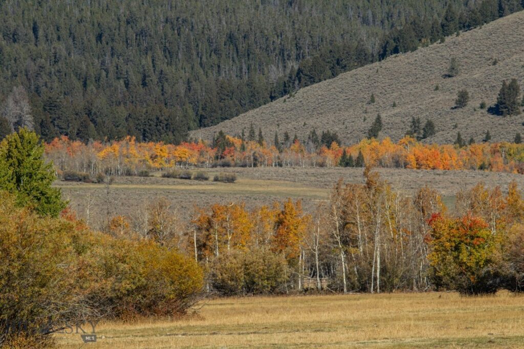 3007 Coyote Creek, Dillon MT 59725