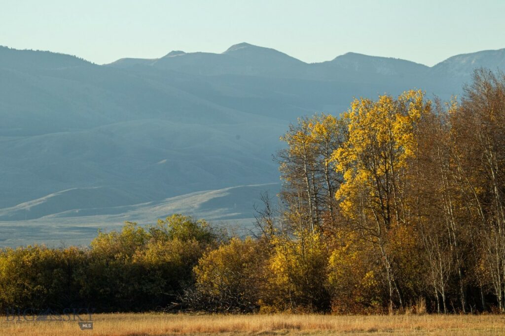 3007 Coyote Creek, Dillon MT 59725