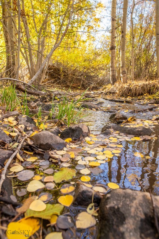 3007 Coyote Creek, Dillon MT 59725