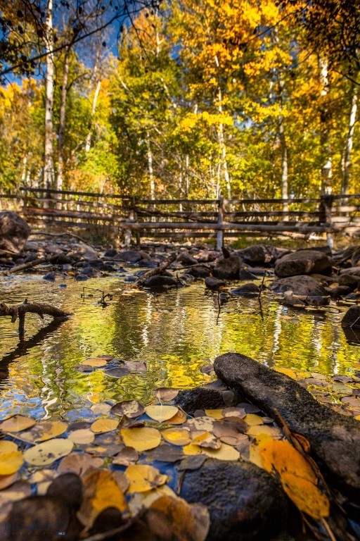 3007 Coyote Creek, Dillon MT 59725