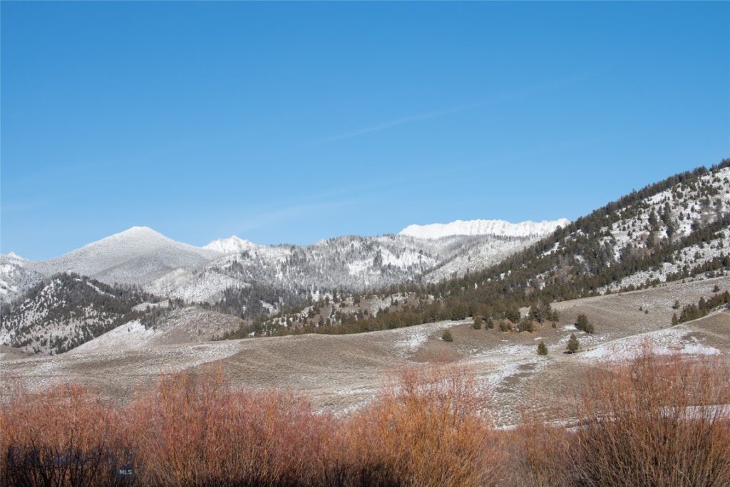 301 Mountain View Way, Polaris MT 59746