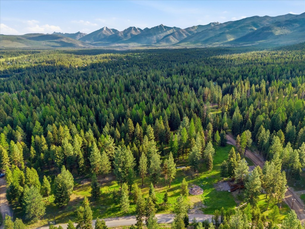 305 Glacier Drive, Seeley Lake MT 59868