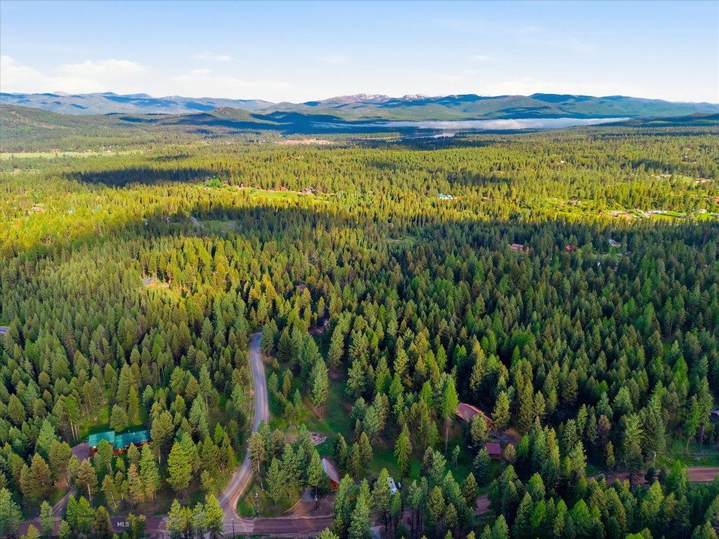 305 Glacier Drive, Seeley Lake MT 59868