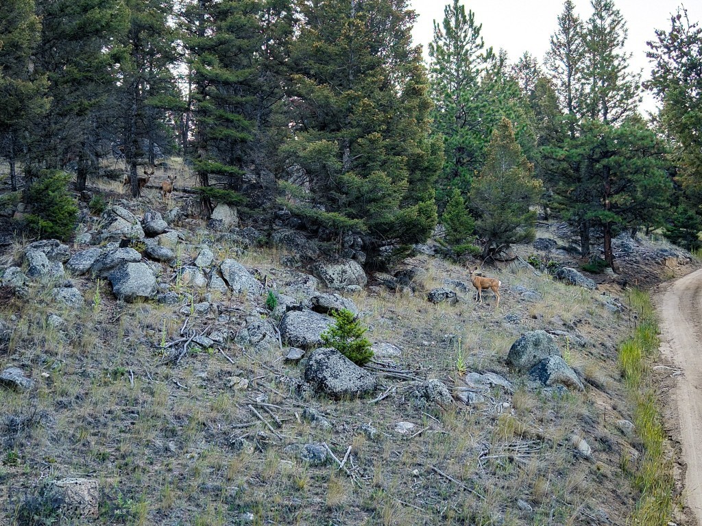 31 Rogers Ln, Boulder MT 59632