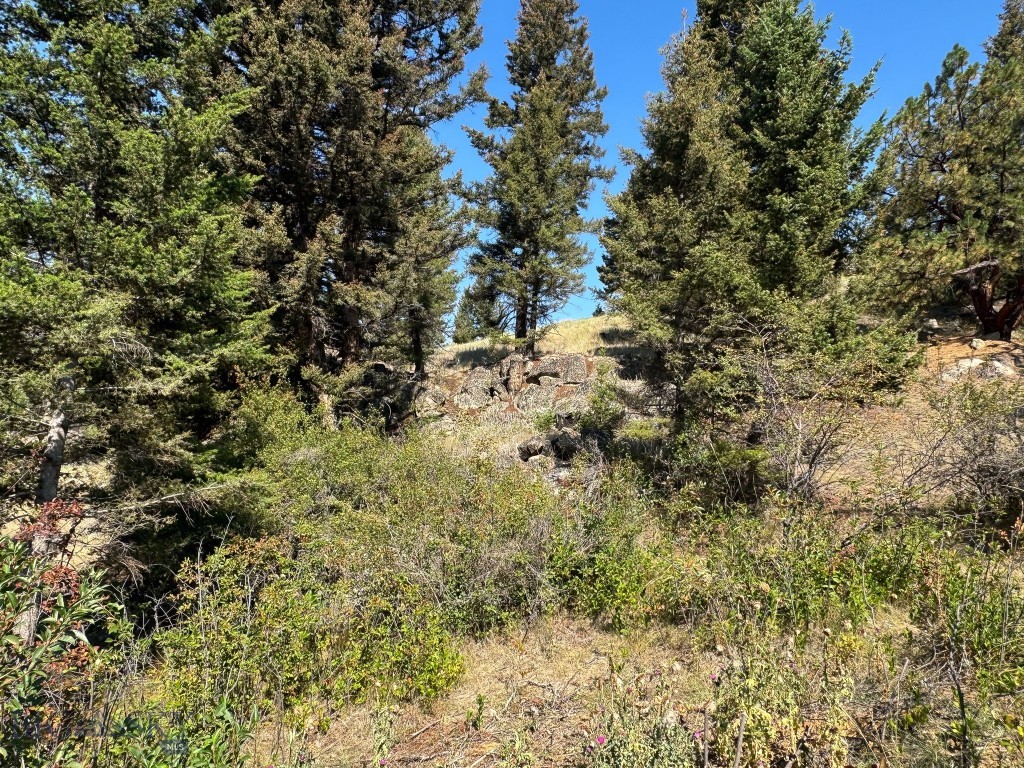 31 Rogers Ln, Boulder MT 59632