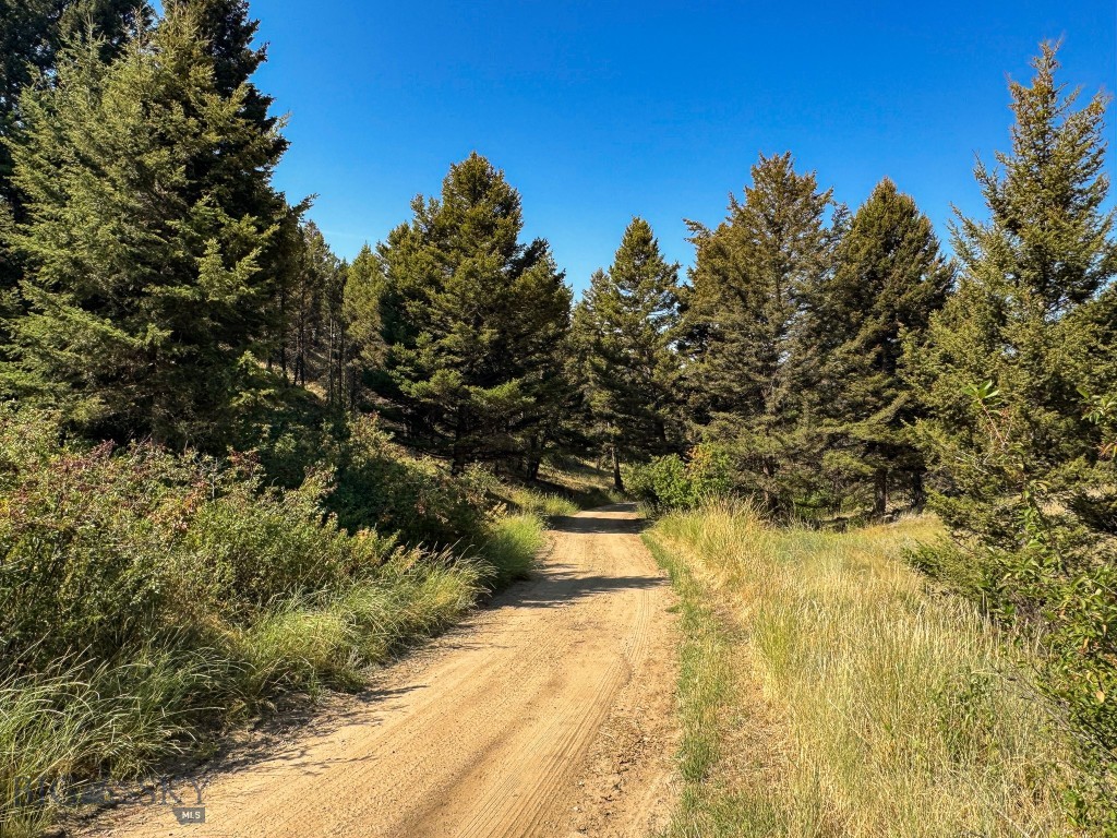 31 Rogers Ln, Boulder MT 59632