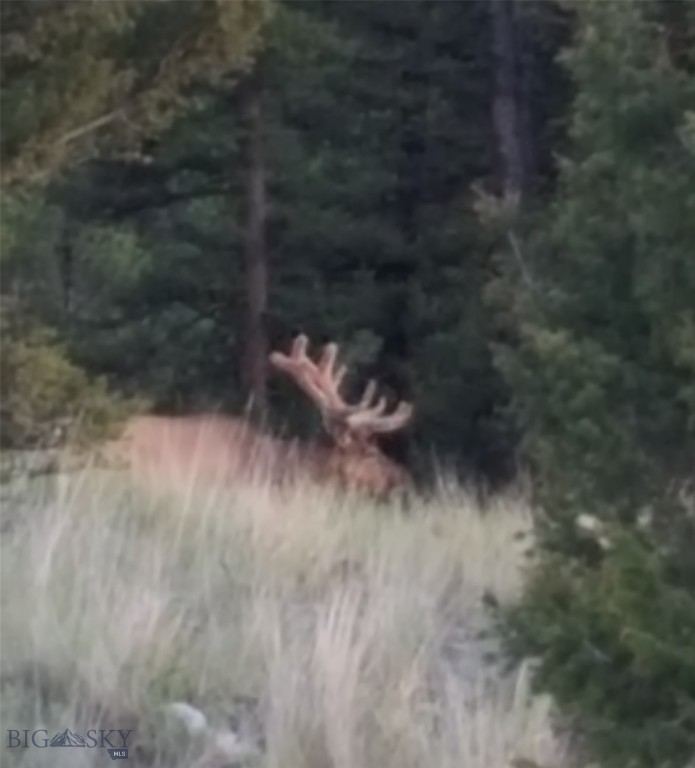 31 Rogers Ln, Boulder MT 59632