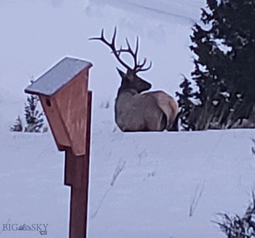 31 Rogers Ln, Boulder MT 59632