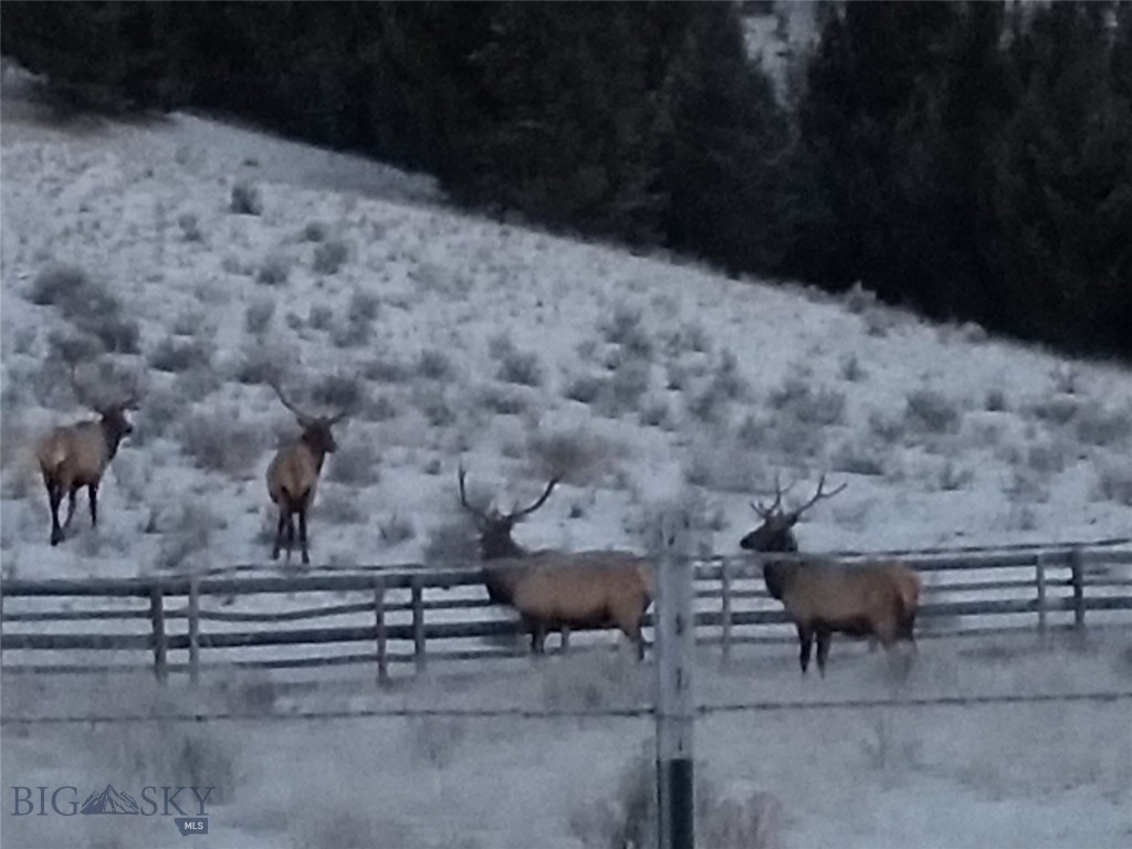 31 Rogers Ln, Boulder MT 59632