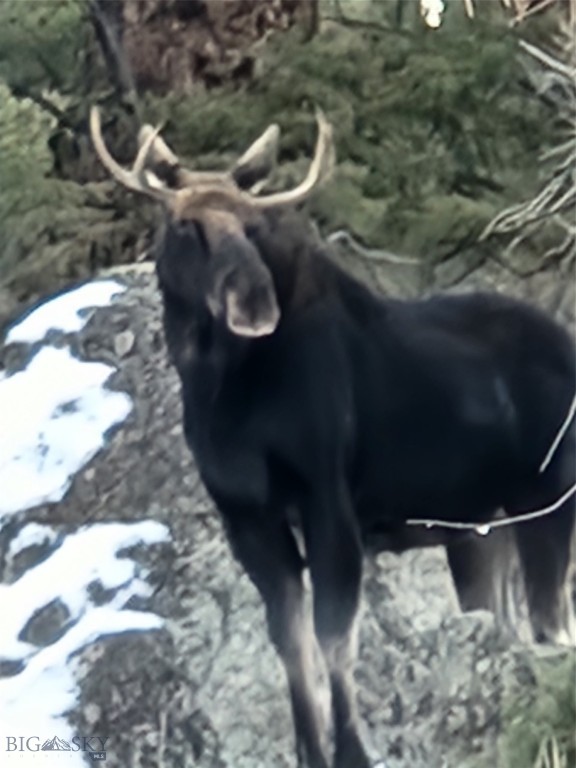 31 Rogers Ln, Boulder MT 59632