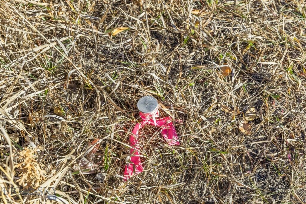 311 Jeffers Loop Road, Ennis MT 59729