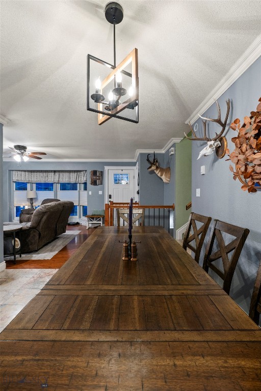 313 S Harrison Avenue, Townsend MT 59644