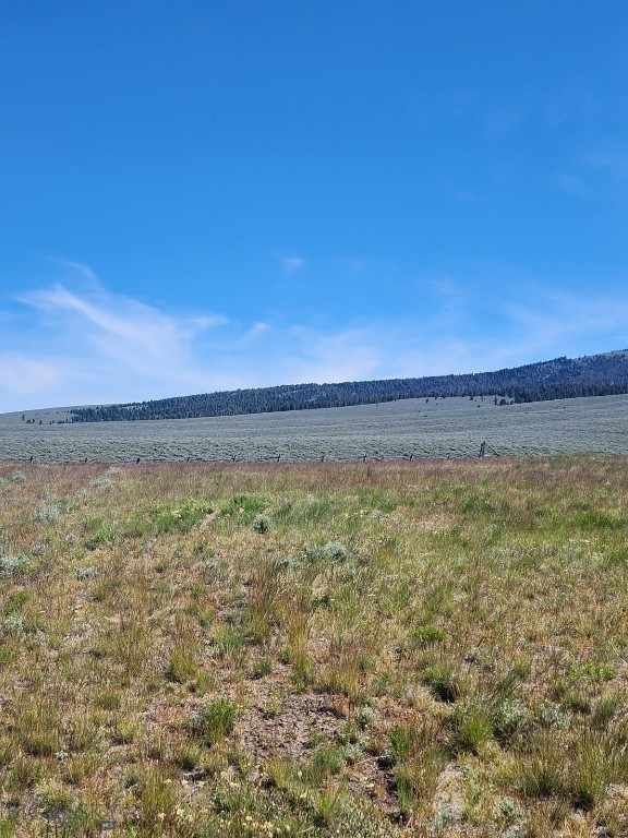 3401 Steel Creek Road, Wisdom MT 59761