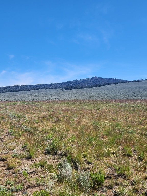 3401 Steel Creek Road, Wisdom MT 59761