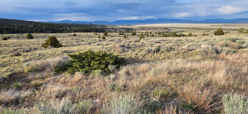 3554 Little Fish Creek Road, Whitehall MT 59759