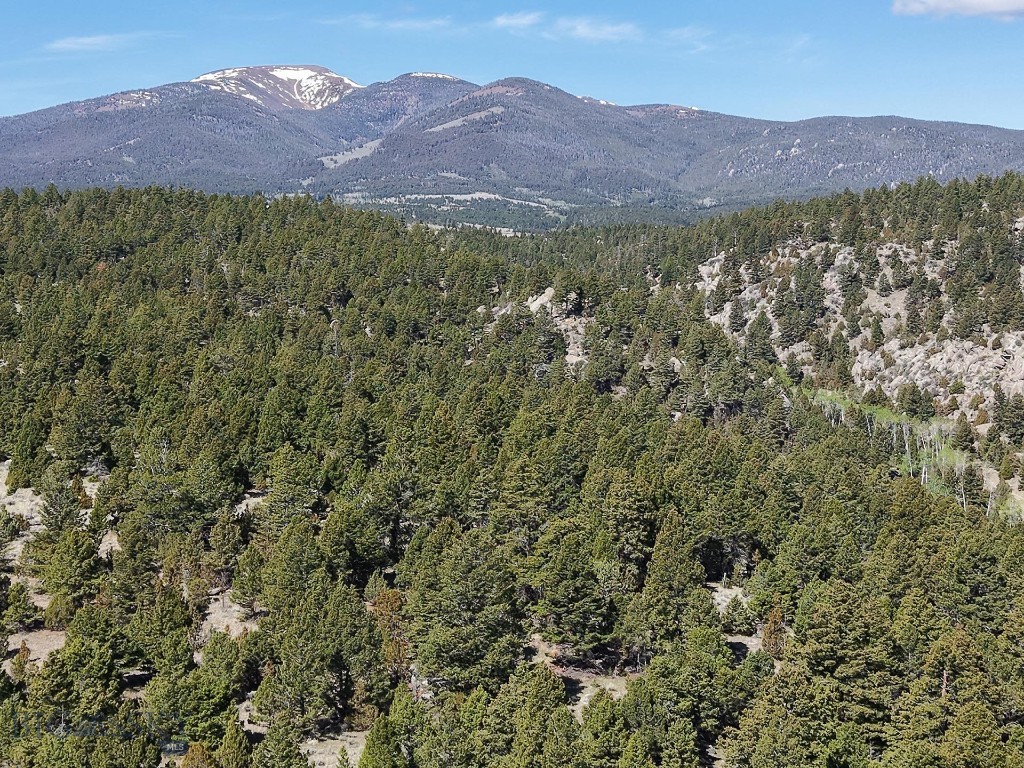 3554 Little Fish Creek Road, Whitehall MT 59759