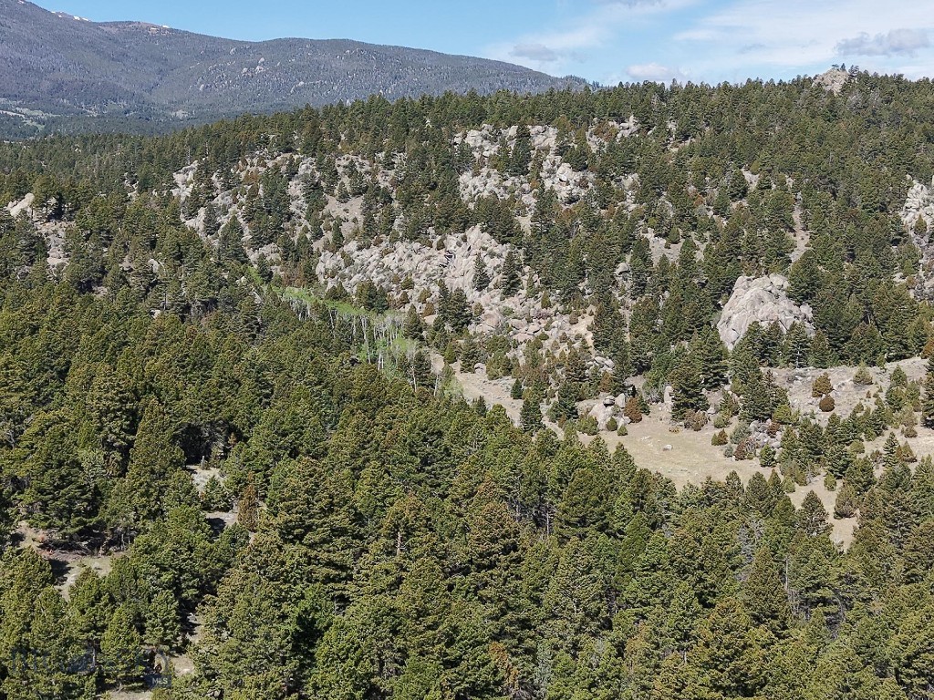 3554 Little Fish Creek Road, Whitehall MT 59759