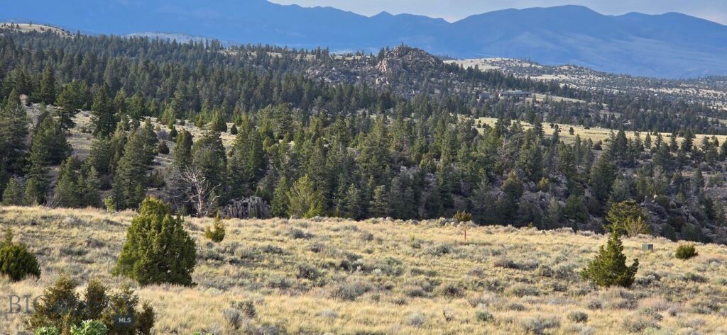 3554 Little Fish Creek Road, Whitehall MT 59759