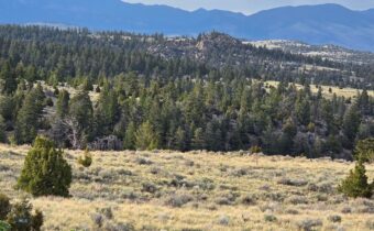 3554 Little Fish Creek Road, Whitehall MT 59759