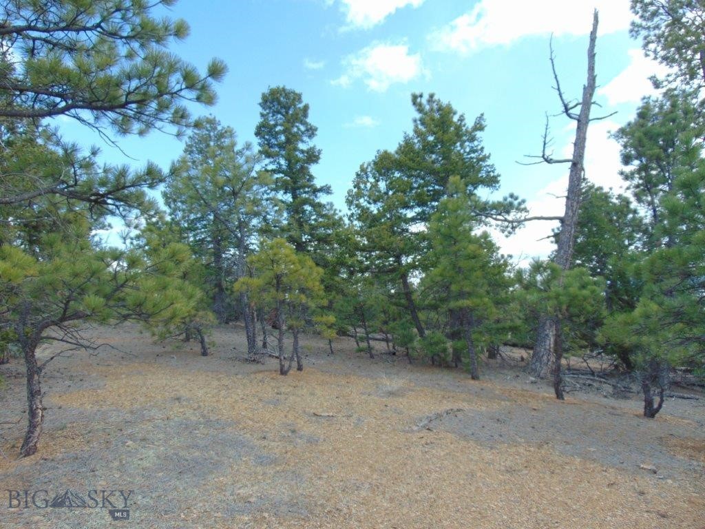 3575 Sweetwater Rd Road, Helena MT 59602