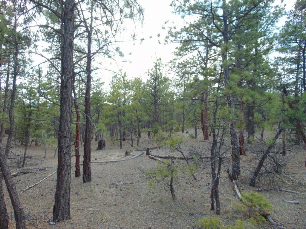 3575 Sweetwater Rd Road, Helena MT 59602