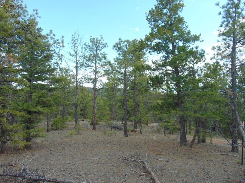 3575 Sweetwater Rd Road, Helena MT 59602