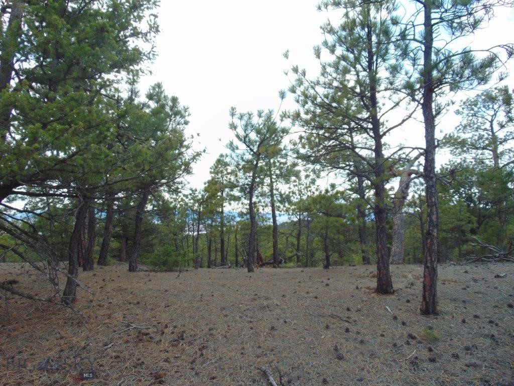 3575 Sweetwater Rd Road, Helena MT 59602