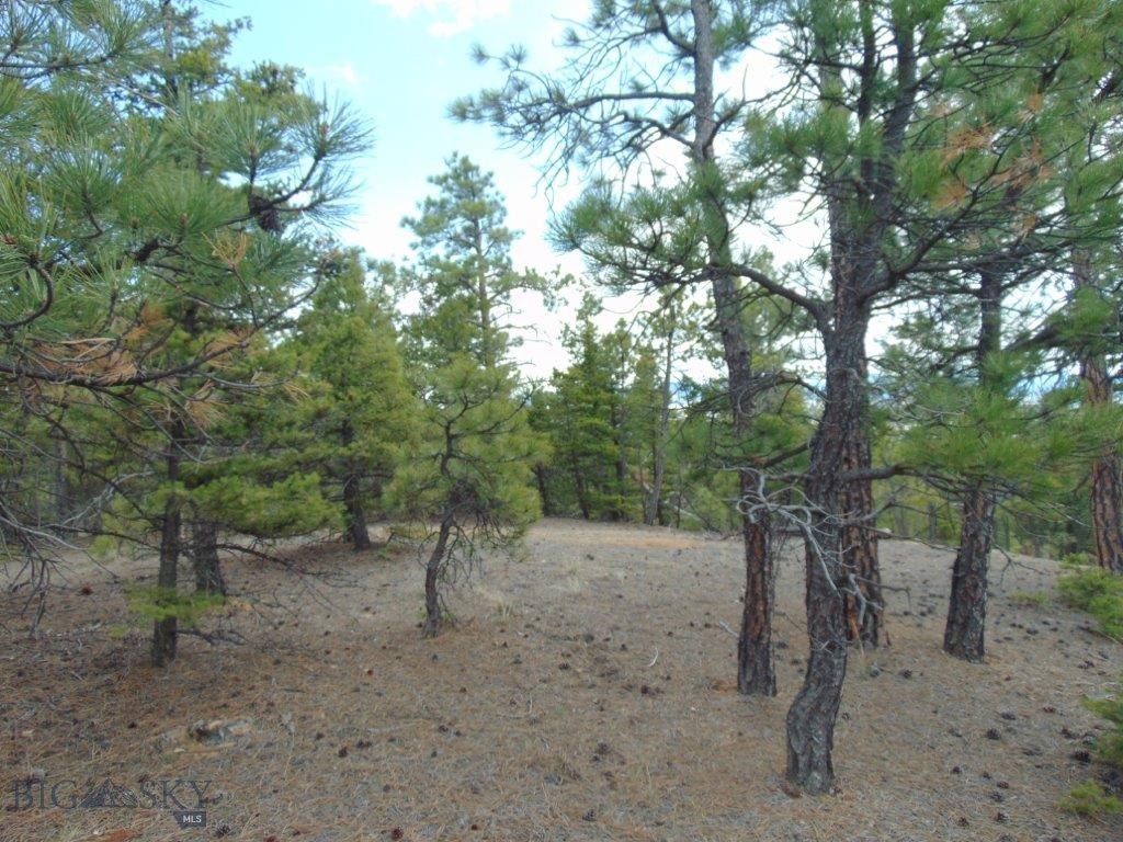 3575 Sweetwater Rd Road, Helena MT 59602