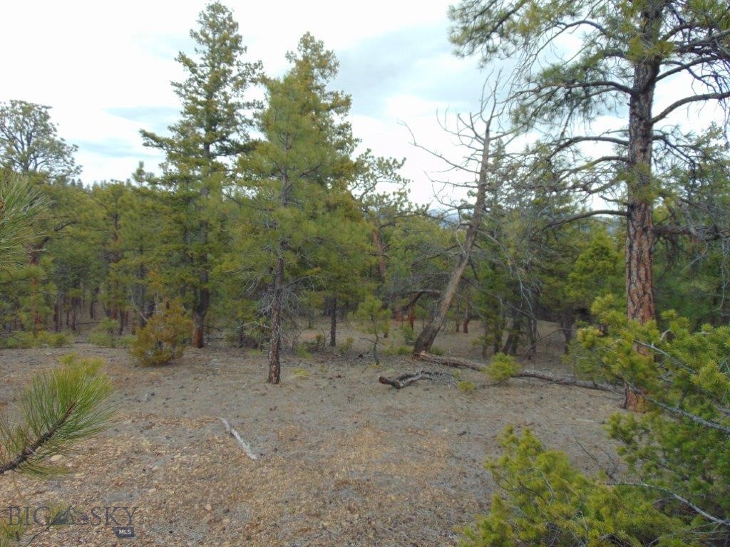 3575 Sweetwater Rd Road, Helena MT 59602