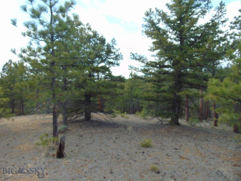 3575 Sweetwater Rd Road, Helena MT 59602