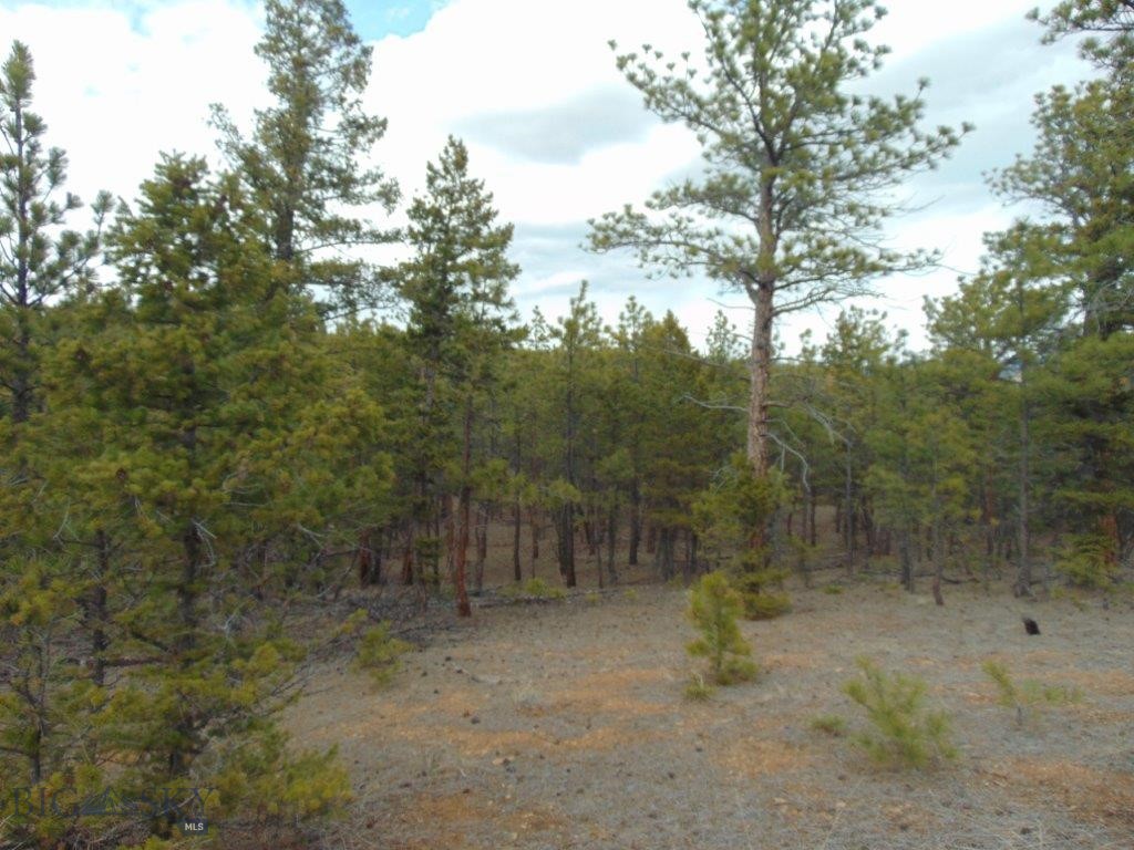 3575 Sweetwater Rd Road, Helena MT 59602