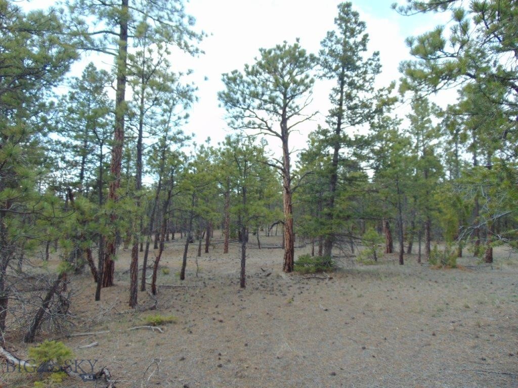 3575 Sweetwater Rd Road, Helena MT 59602